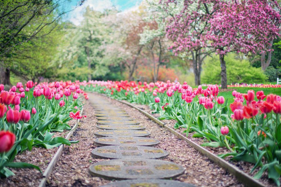 آشنایی با بعد معنوی