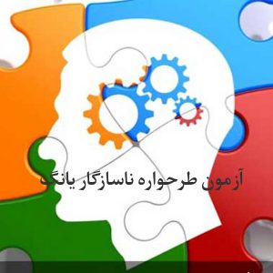 آزمون طرحواره ناسازگار یانگ